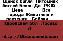 Щенок бигля. Питомник биглей Беван-До (РКФ) › Цена ­ 20 000 - Все города Животные и растения » Собаки   . Кировская обл.,Лосево д.